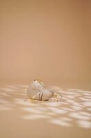 Marèe Luxe Saddle Top Handle - Beige Nude